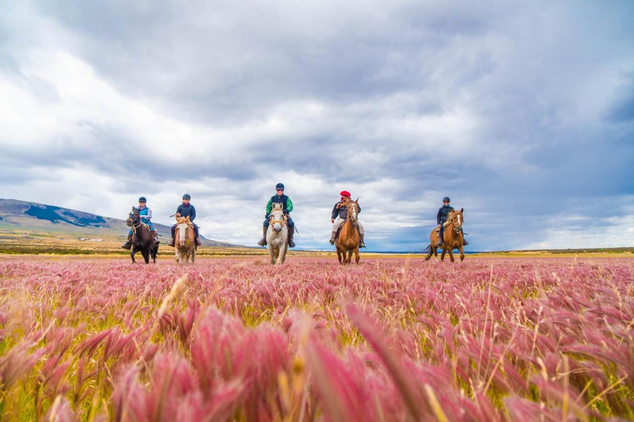 Estancia Cerro Guido Torres del Paine National Park Εξωτερικό φωτογραφία