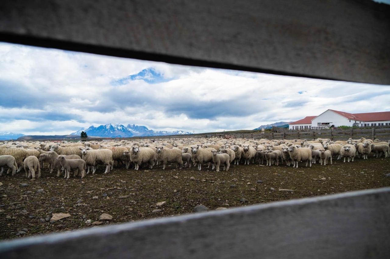 Estancia Cerro Guido Torres del Paine National Park Εξωτερικό φωτογραφία