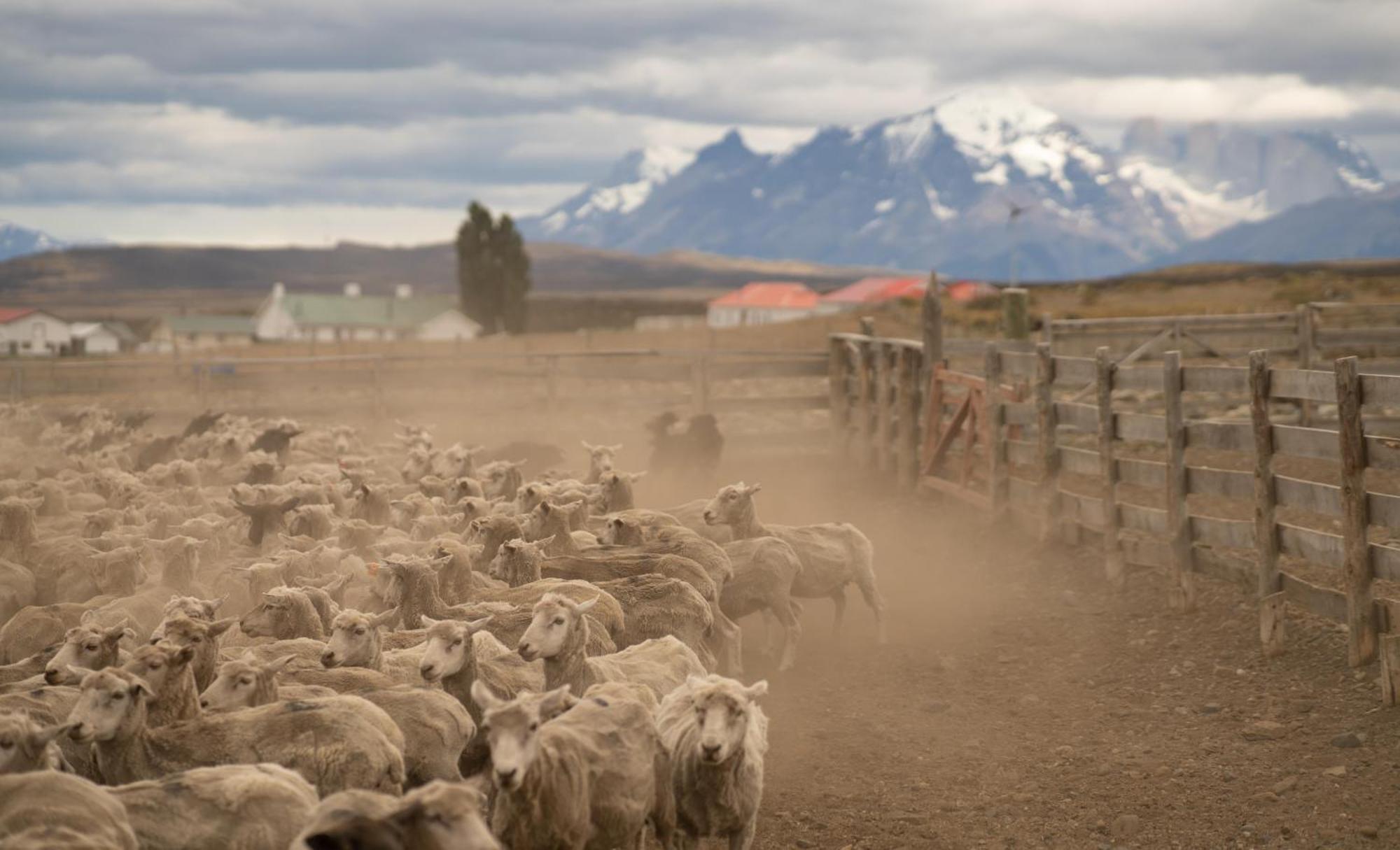 Estancia Cerro Guido Torres del Paine National Park Εξωτερικό φωτογραφία