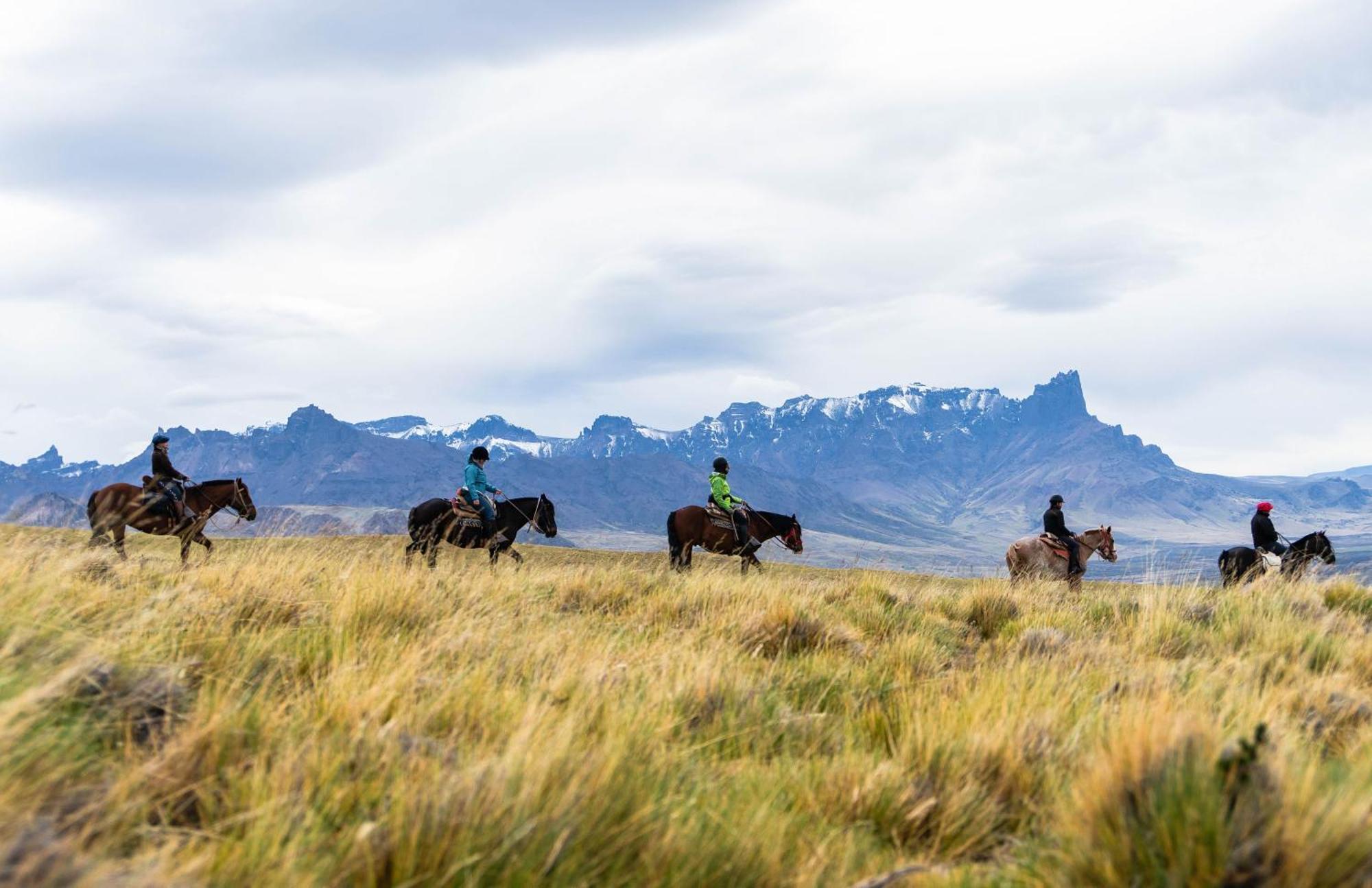 Estancia Cerro Guido Torres del Paine National Park Εξωτερικό φωτογραφία