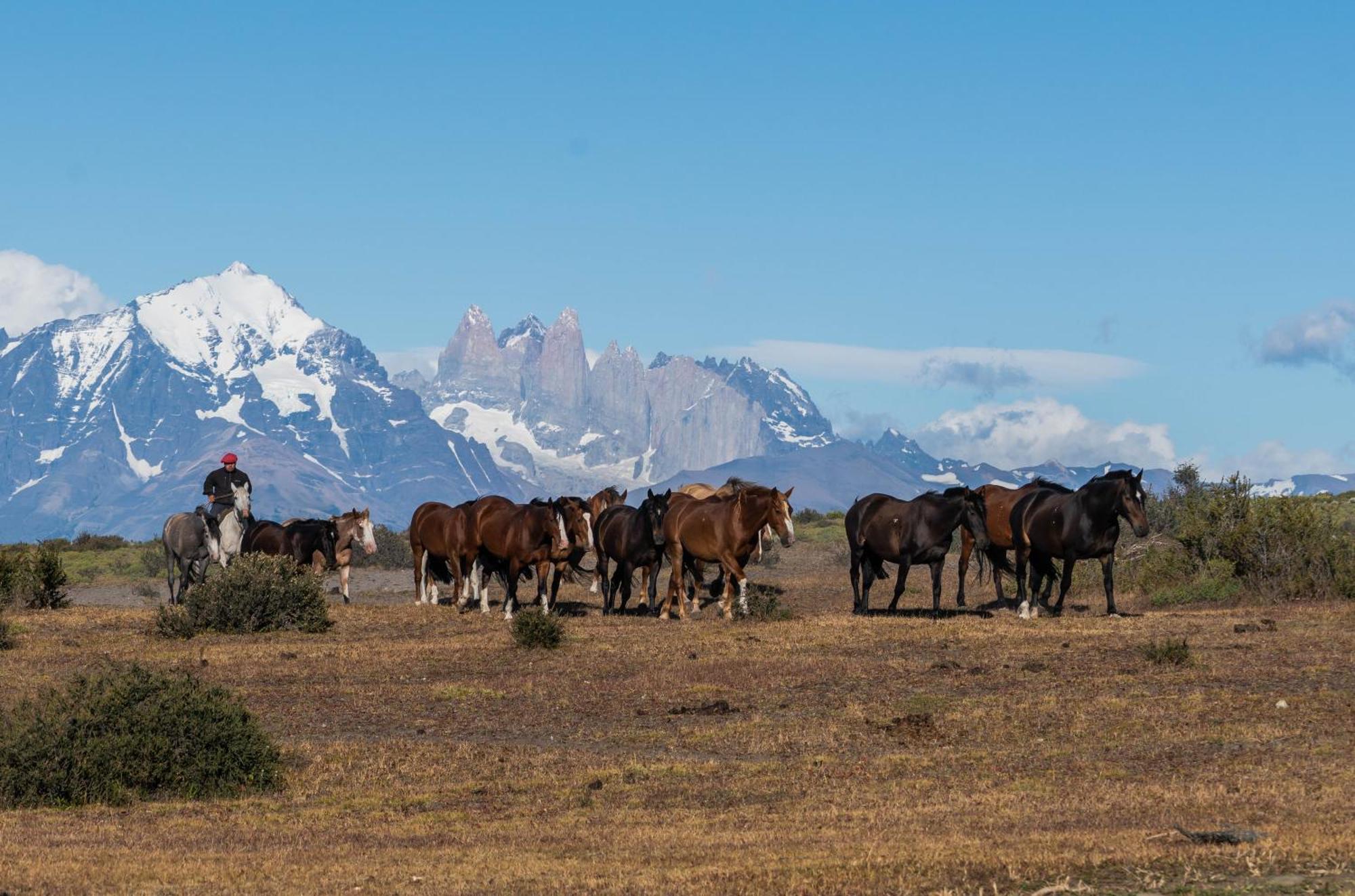Estancia Cerro Guido Torres del Paine National Park Εξωτερικό φωτογραφία