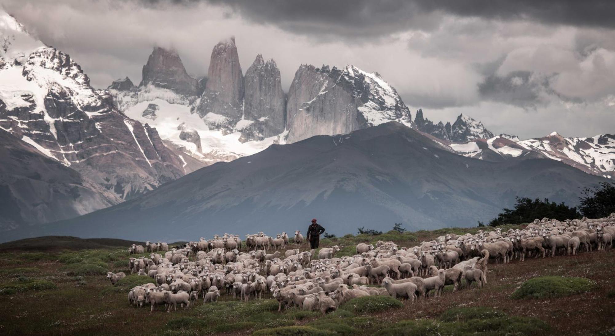 Estancia Cerro Guido Torres del Paine National Park Εξωτερικό φωτογραφία